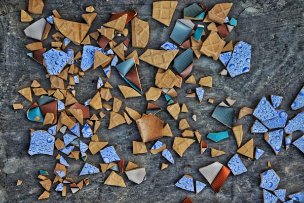 The Child Who Learned to Divide